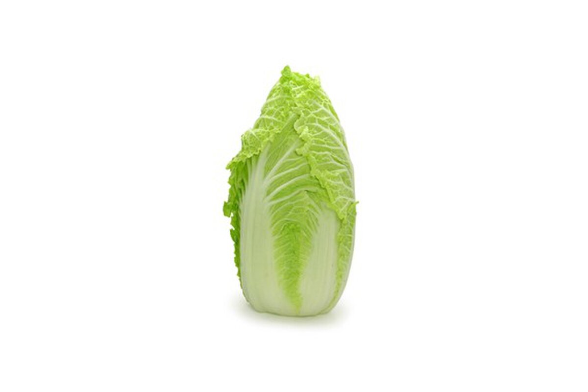Kapusta čínska